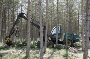 Procesadora Forestal